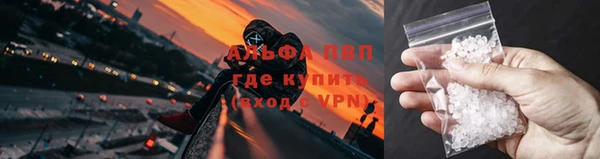 стаф Баксан