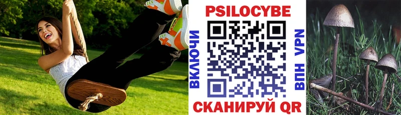 Псилоцибиновые грибы Psilocybe  OMG зеркало  Староминская 